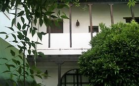 Patio Del Limonero